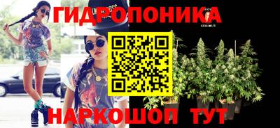 прущие крисы Кимры