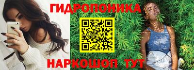 крисы Кинель