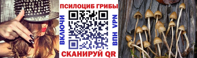 Галлюциногенные грибы ЛСД  Лабытнанги 