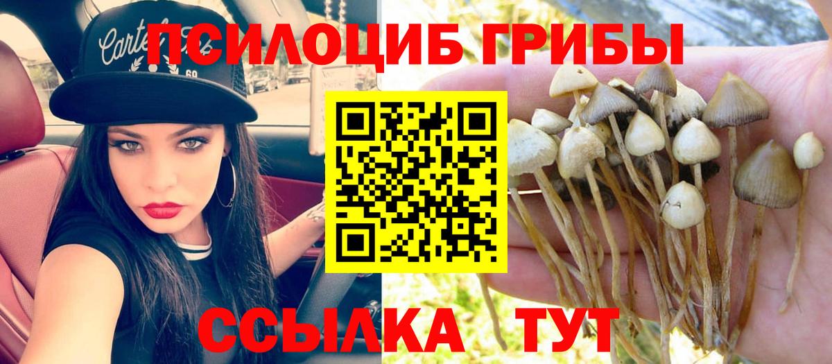 Псилоцибиновые грибы GOLDEN TEACHER  Вход с VPN  Лабытнанги 